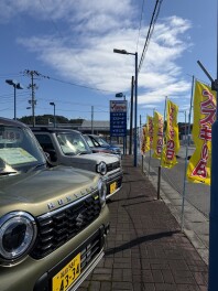 スズキの日　駆け込みまだ間に合います☆彡
